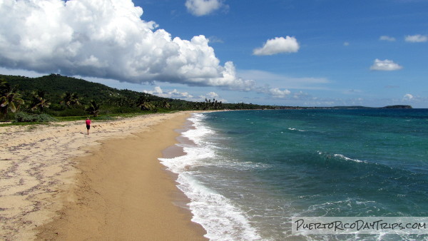 Playa Grande Beach on Vieques