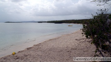 Playa La Jungla