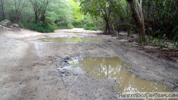 Playa La Jungla