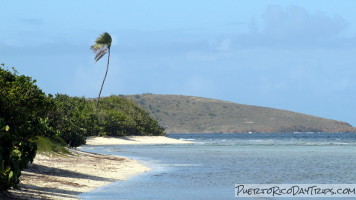 Playa Larga