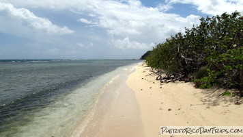 Playa Larga