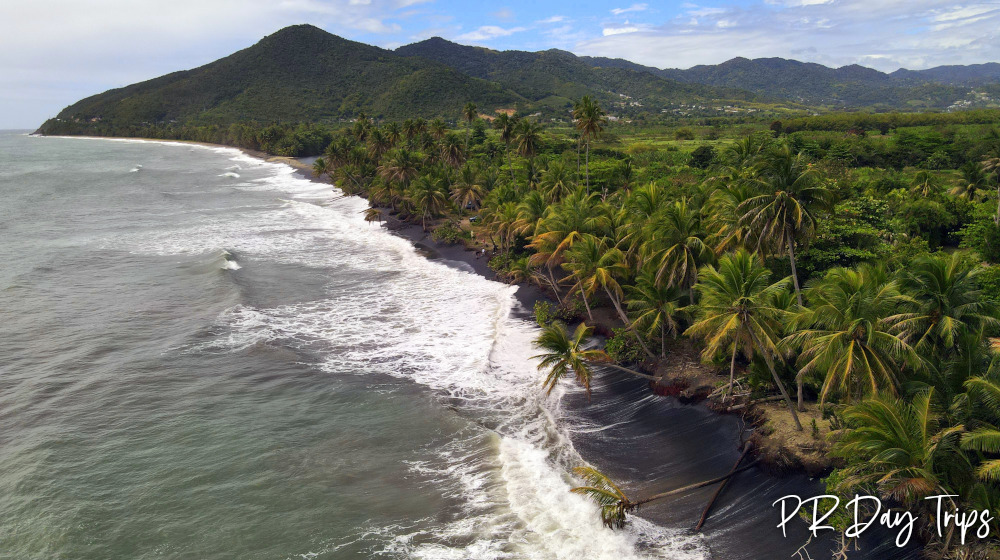 Playa Los Bohios