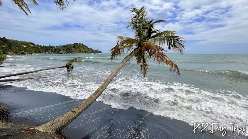 Playa Los Bohios