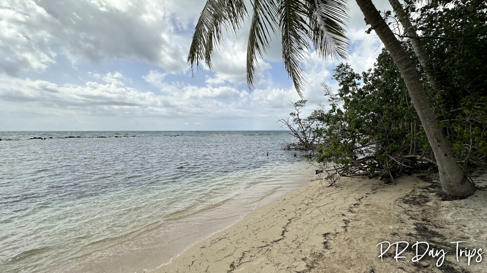 Playa Ostiones