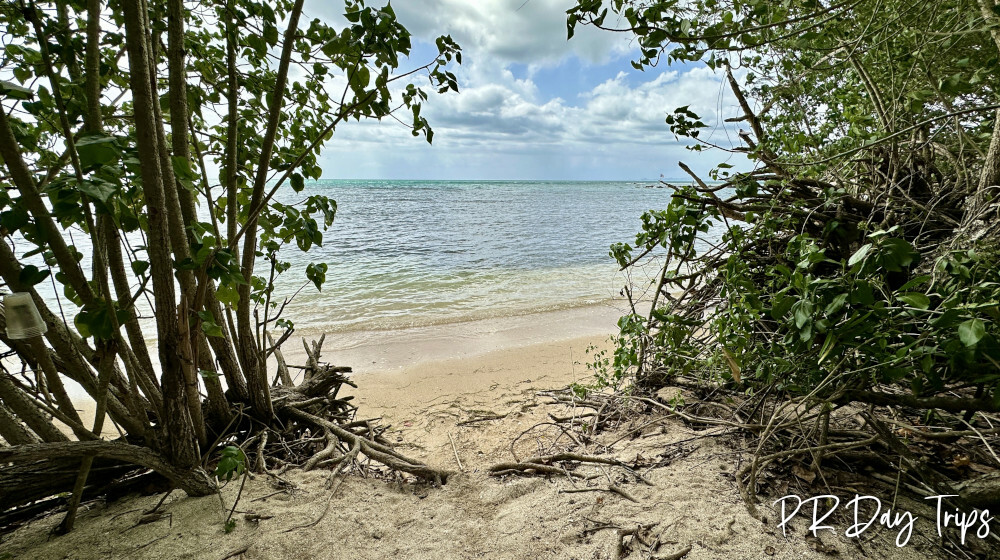 Playa Ostiones