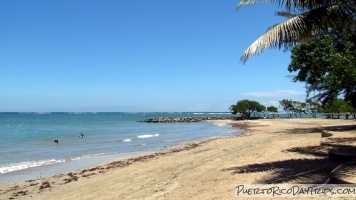 Playa Sardinera