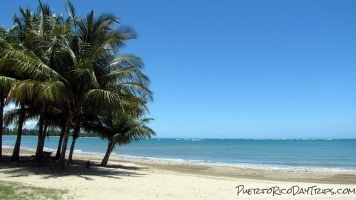 Playa Sardinera