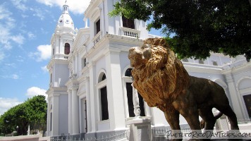 Ponce Lions