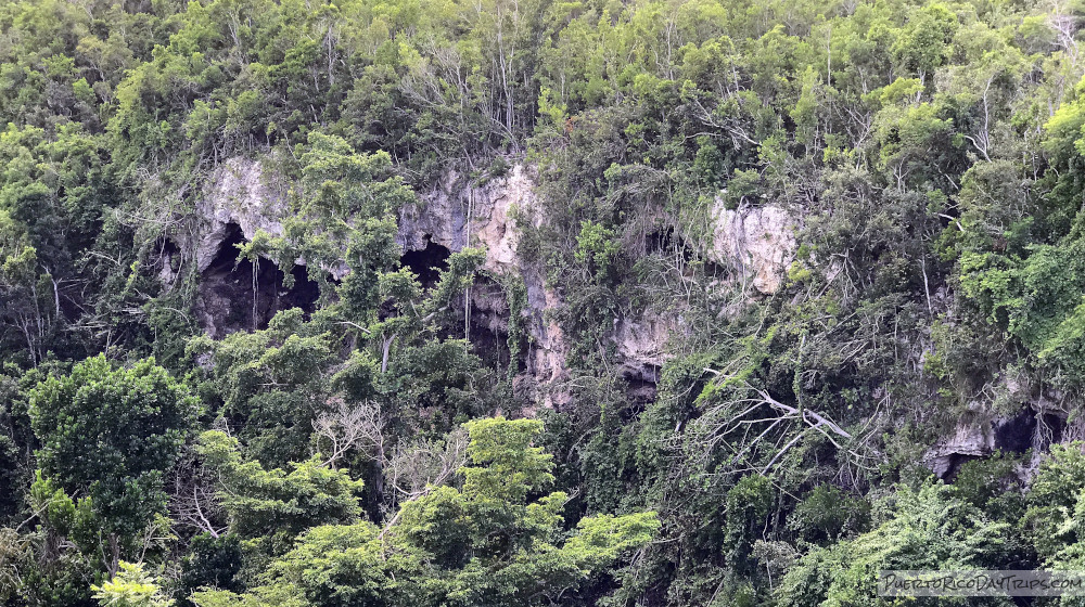 Puente Bellaca