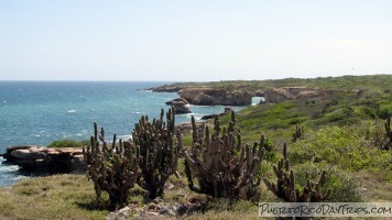 Punta Ventana