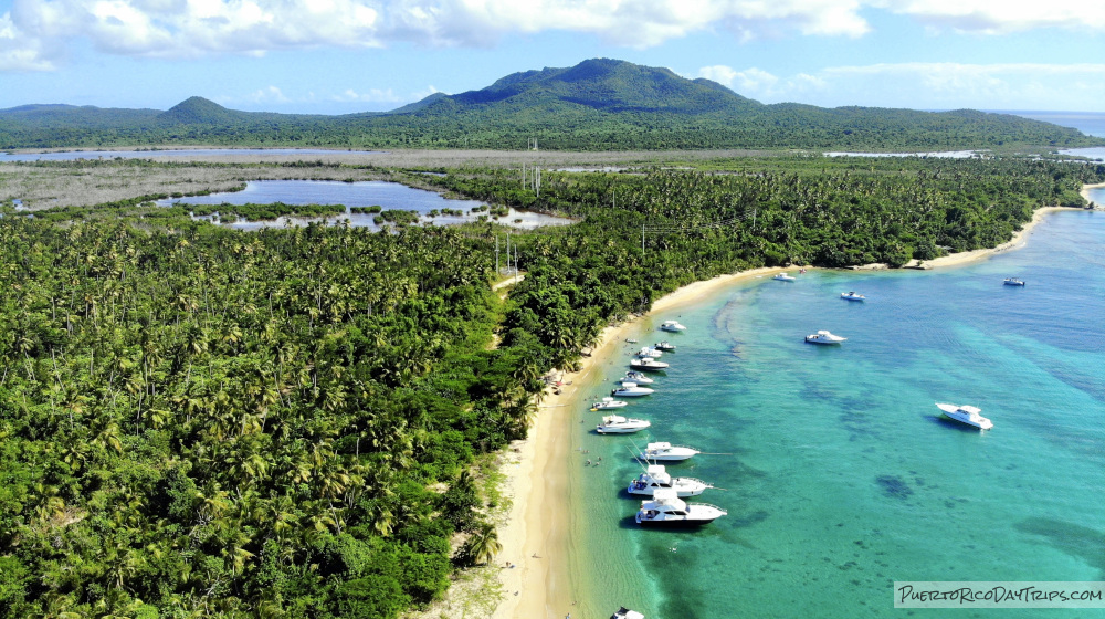 Pure Adventure Vieques Snorkel