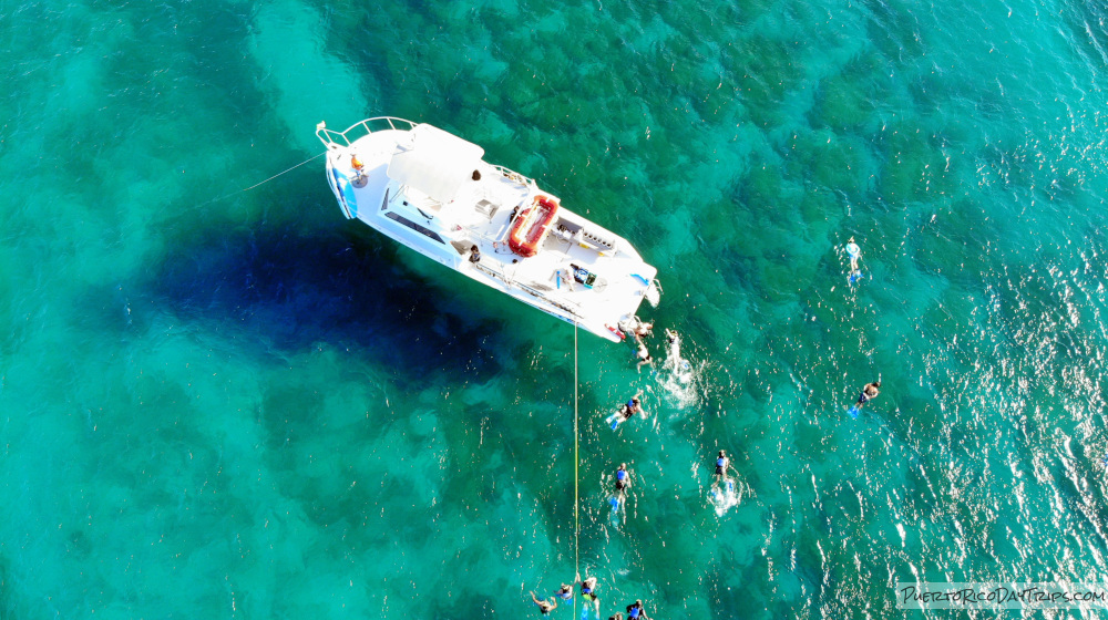 Pure Adventure Vieques Snorkel