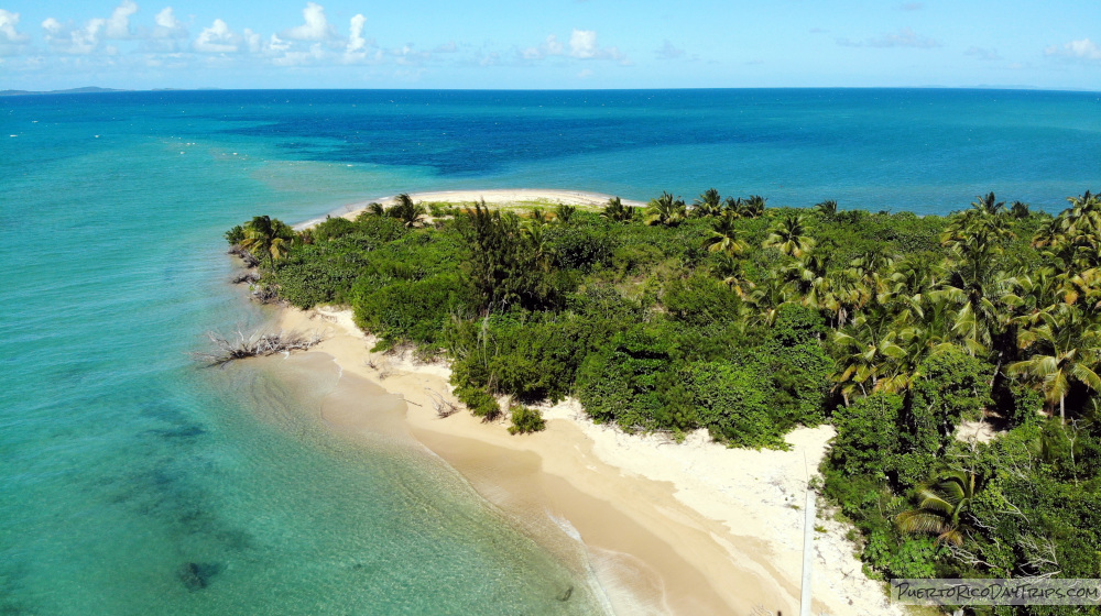 Pure Adventure Vieques Snorkel