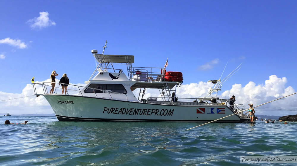 Pure Adventure Vieques Snorkel