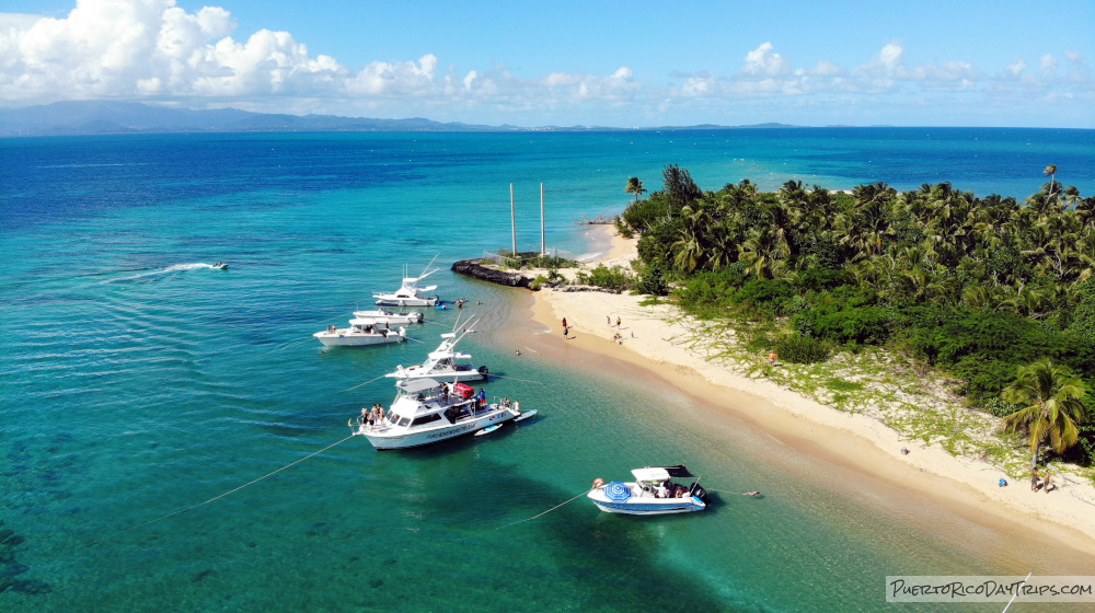 Pure Adventure Vieques Snorkel