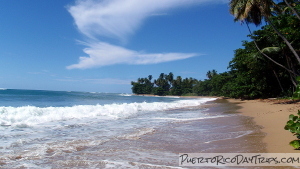 Steps Beach