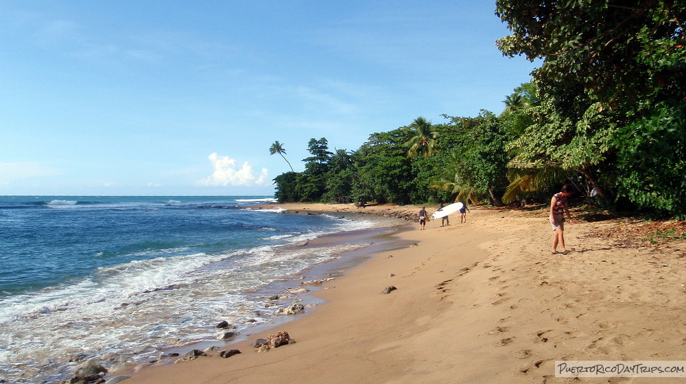 Rincon Sea Glass