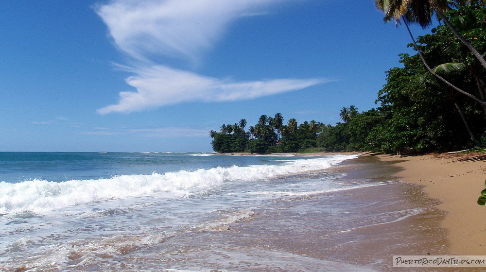 Rincon Sea Glass