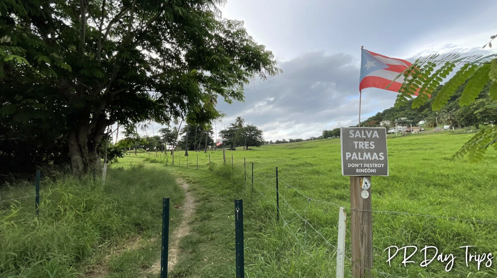 Rincoón Walking Paths
