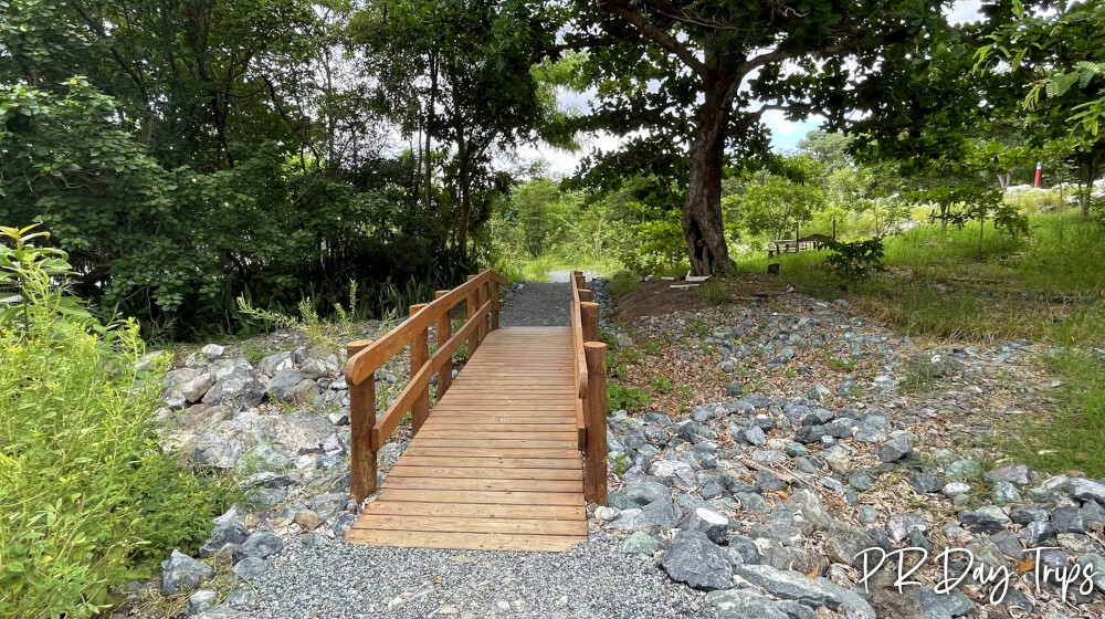 Rincoón Walking Paths