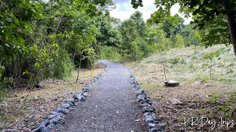 Rincoón Walking Paths
