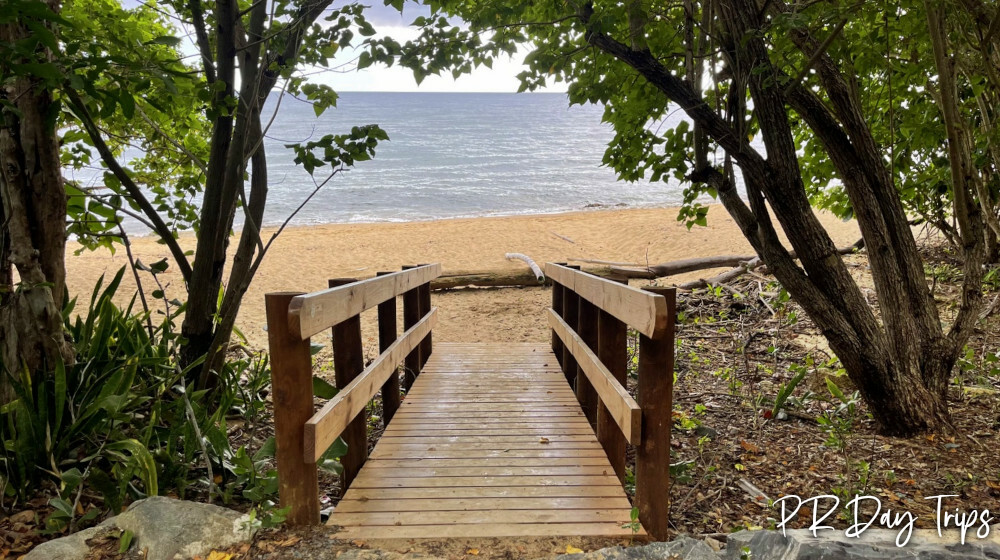 Rincoón Walking Paths