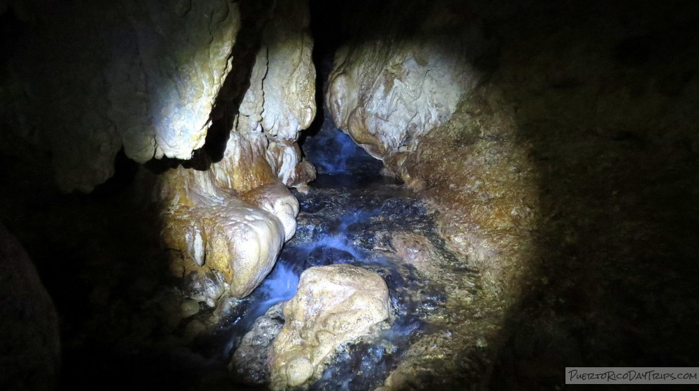 Cueva del Agua Río Abajo Forest