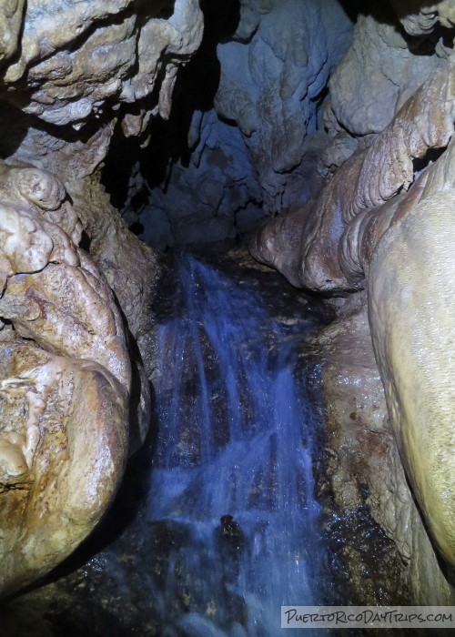 Cueva del Agua Río Abajo Forest