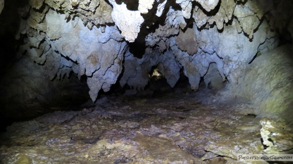 Cueva del Agua Río Abajo Forest