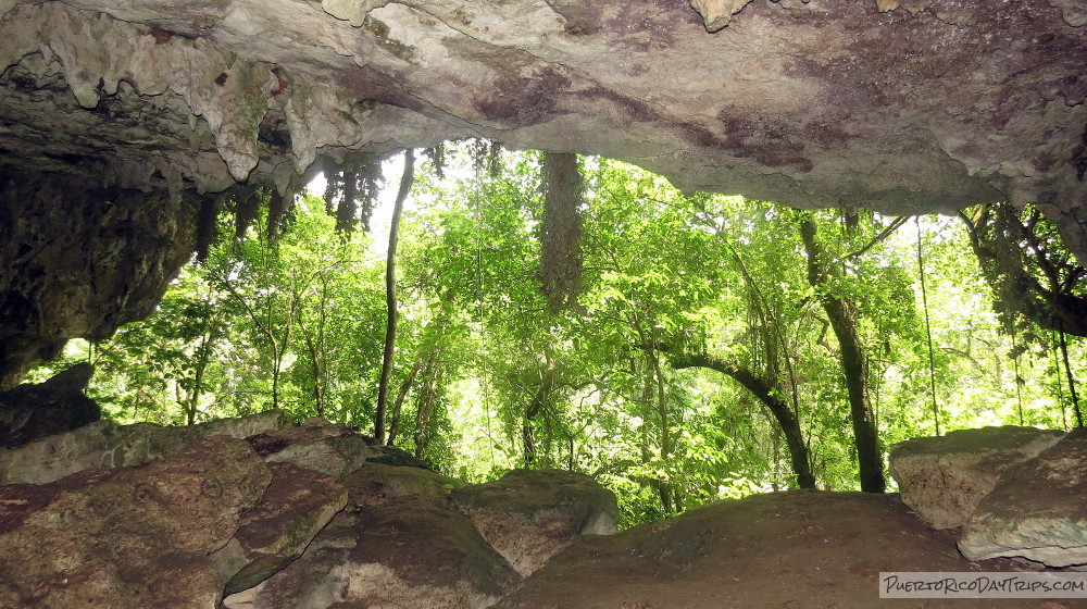 Cueva Alta in Rio Abajo Forest