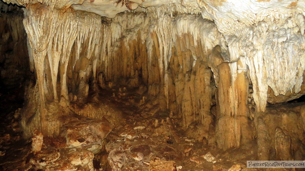 Cueva Alta in Rio Abajo Forest