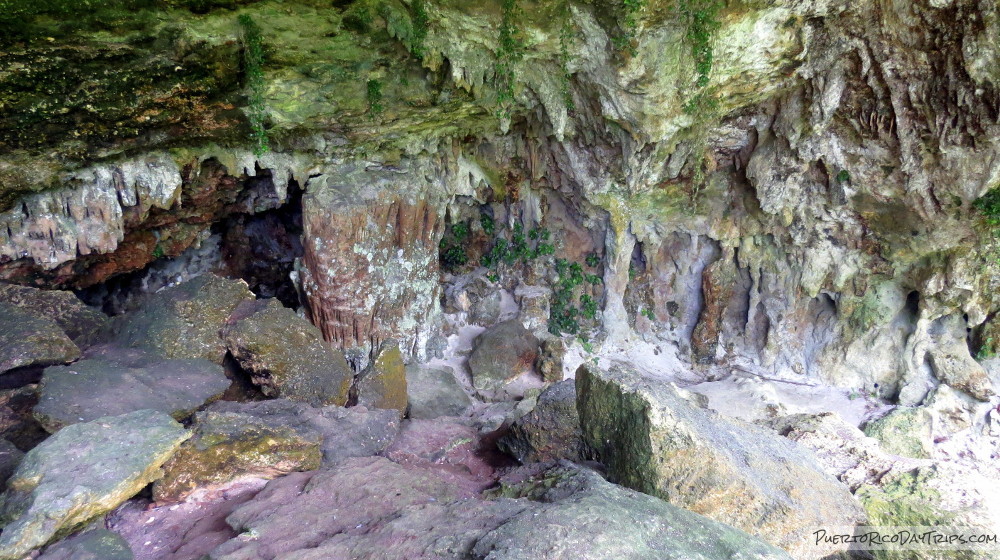 Cueva Alta in Rio Abajo Forest