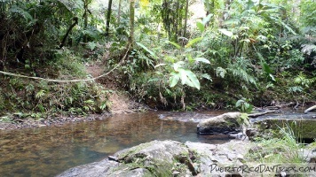 Rio Sabana Trail