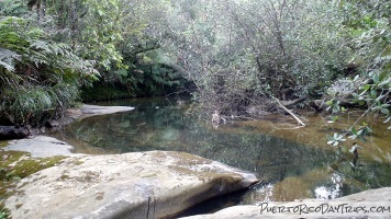Rio Sabana Trail