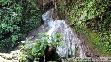 Road 123, Utuado