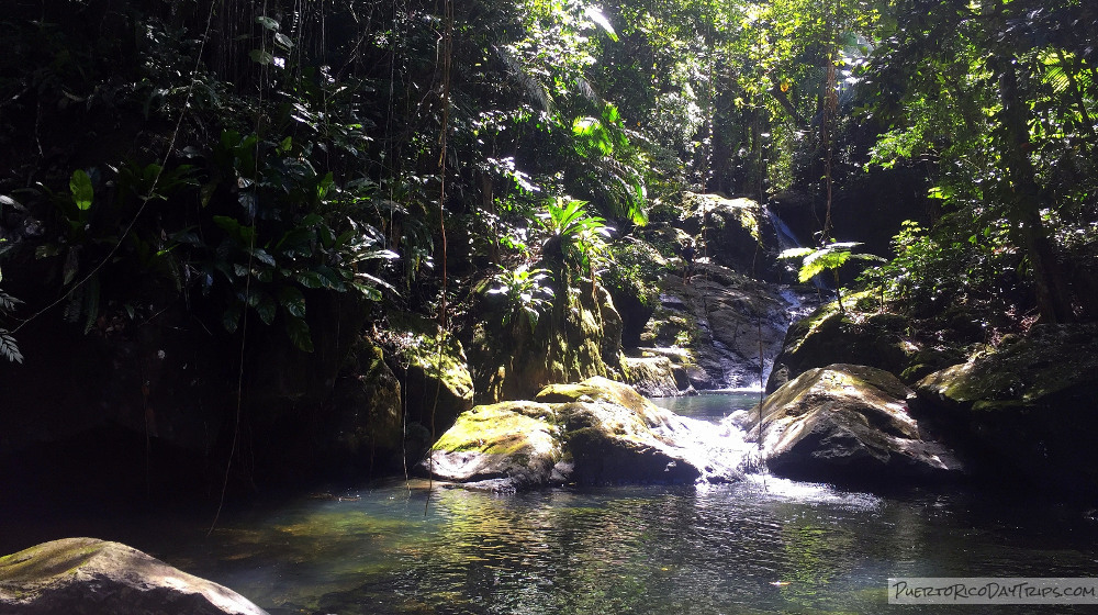 Salto de Jiménez