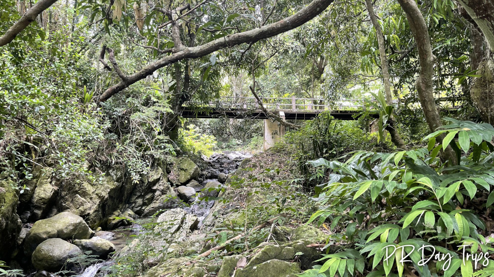 Salto la Cabra in San German