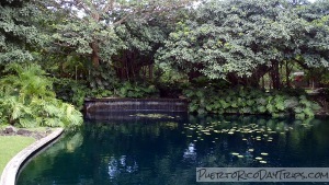 Garden at the Museum of Art of Puerto Rico