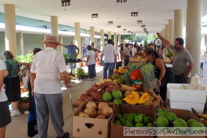 San Sebastian Market