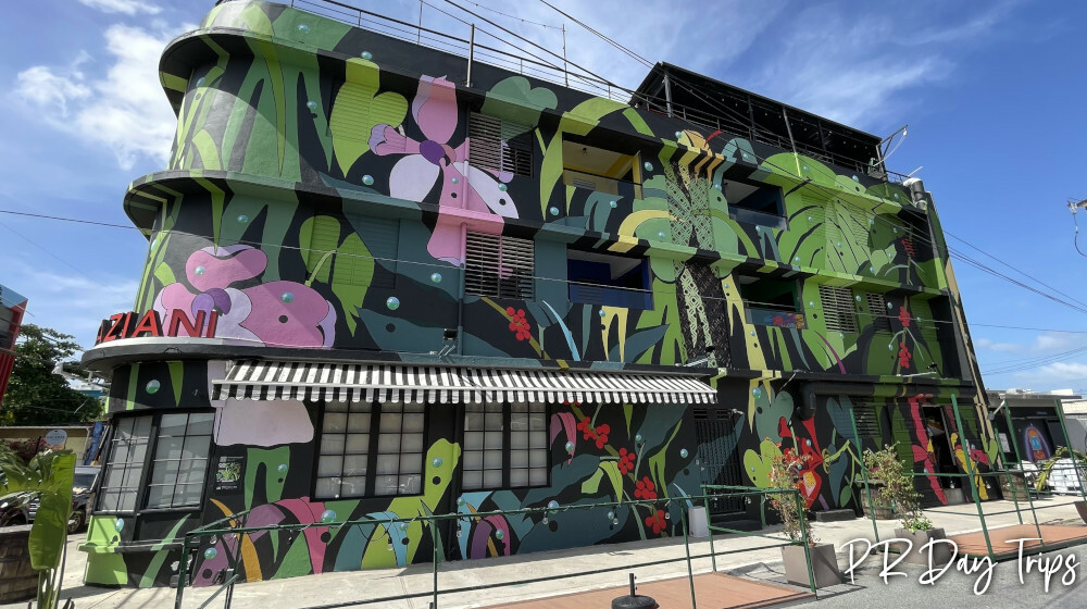 Santurce Murals