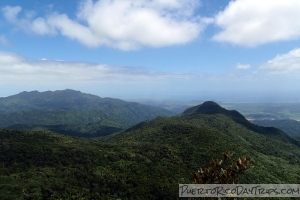 El Yunque National Forest