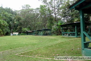 Toro Negro Forest