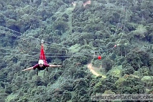 Toro Verde Nature Adventure Park