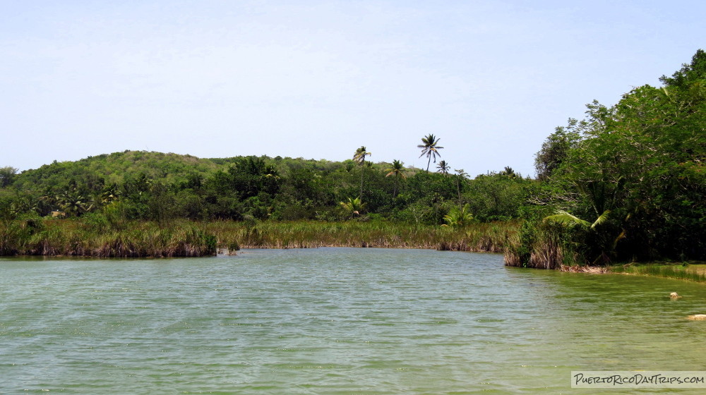 Laguna Tortuguero