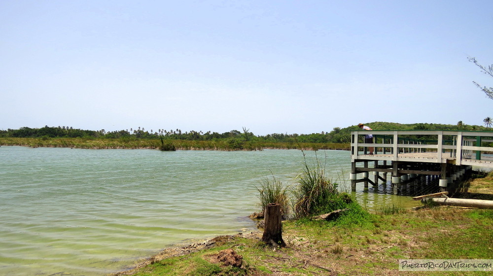 Laguna Tortuguero