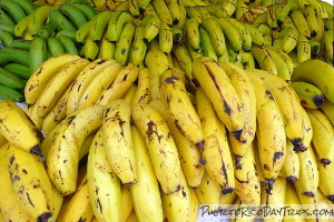 Fresh Fruit in Puerto Rico