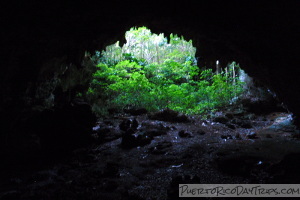 Cave in Campo Rico