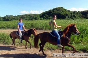 Tropical Trail Rides Campo Rico