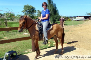 Tropical Trail Rides Campo Rico