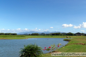 Tropical Trail Rides Campo Rico